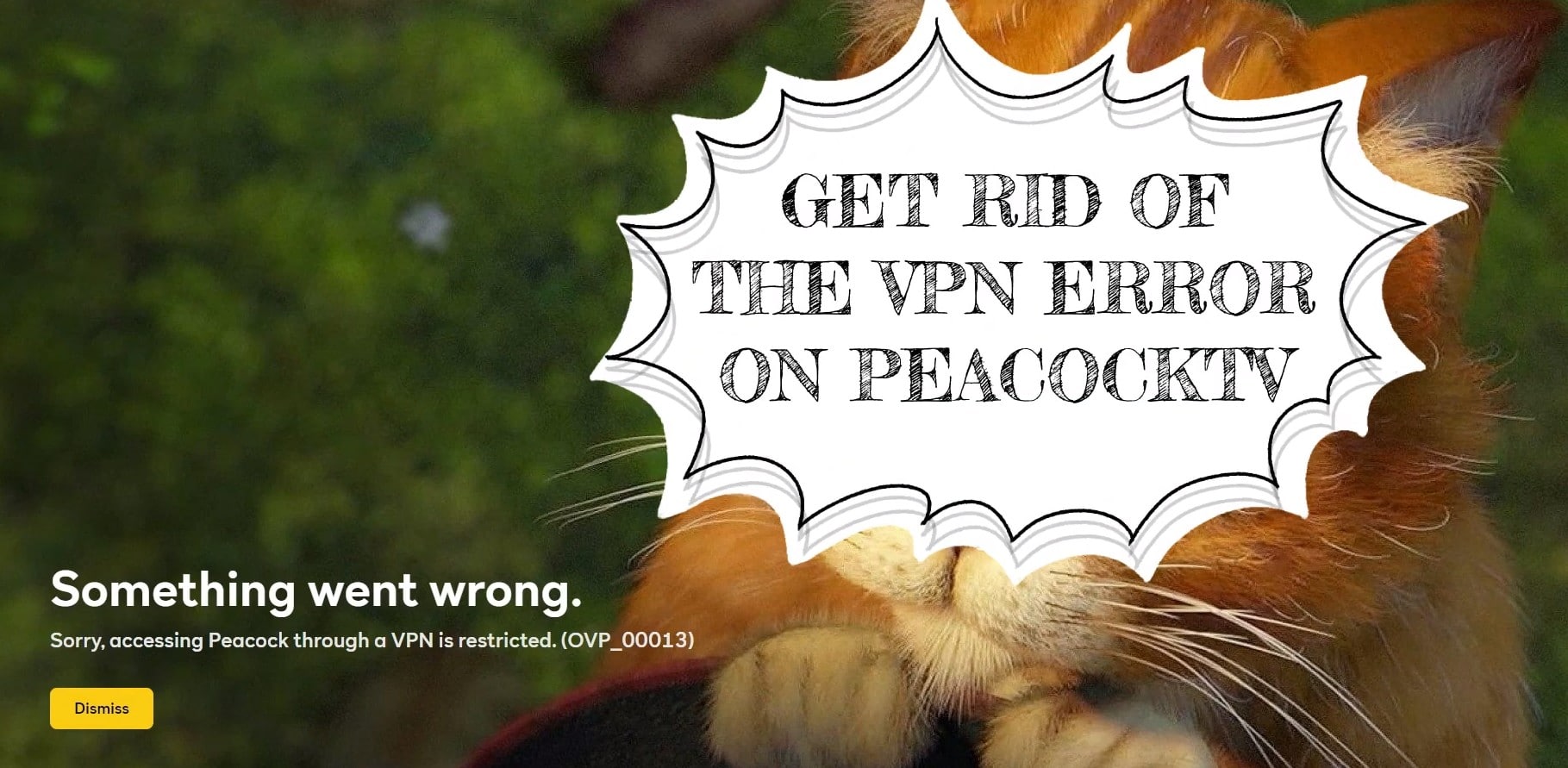 Sorry, Accessing Peacock Through a VPN is Restricted (ovp_00013